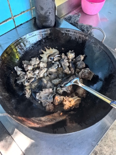 1756369847163354.jpg 抓鸡4(2)(2).jpg